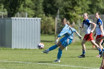 Bild 245 - wBJ HSV Leistungsvergleich